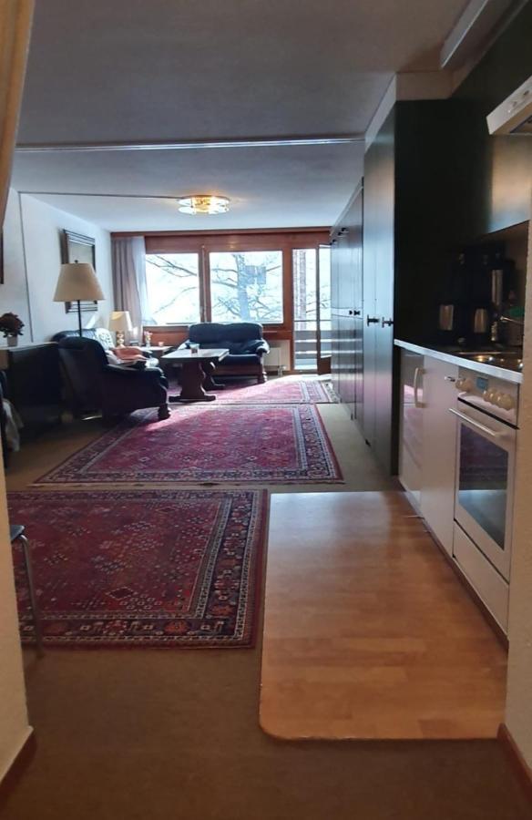 Apartament Hilburgs-Domizil Zermatt Zewnętrze zdjęcie